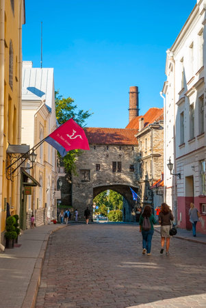TALLINN, ESTONIA - AUGUST 19: People passing the street in Tallinn old town. August 2015のeditorial素材