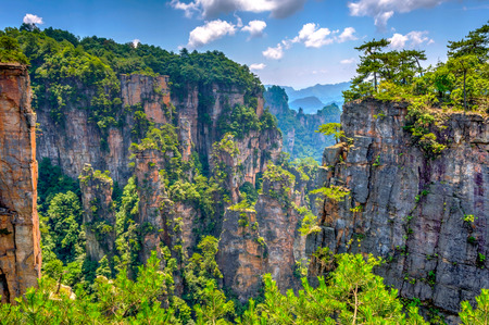 View over tall sandstone columns and formations in Zhangjiajie national park Hunan China. HDR imageの写真素材