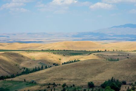 Endless golden color kazakh grass landscapeの写真素材