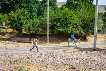 TURBAT, KAZAKHSTAN - JULY 21: Two kids transporting plastic bottles of water on the road by donkey. July 2016のeditorial素材