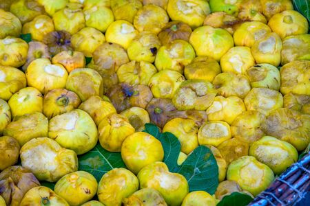 Ripe yellow figs in a basket with green leafの写真素材