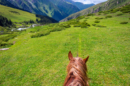 First person view from the horse back to steep mountain path, Altyn Arashan, Kyrgyzstanの写真素材