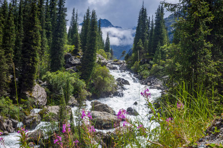 KARAKOL, KYRGYZSTAN - JULY 30: Guy riding a horse and transporting stuff to the base camp in Karakol national park. July 2016のeditorial素材