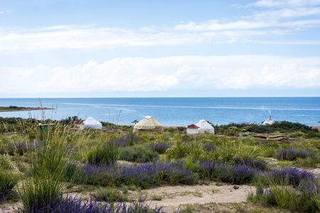 Yurt between the flowers and grass by the Karakol lake, Kyrgyzstanの写真素材