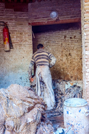 FEZ, MOROCCO - DECEMBER 10: Man cleaning wool of skin for leather production in a tannery in Fez. December 2016のeditorial素材