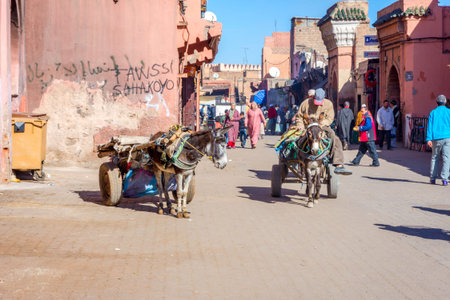 MARRAKECH, MOROCCO - DECEMBER 11: Donkey carriages on the street in Marrakech, known as red city. December 2016のeditorial素材