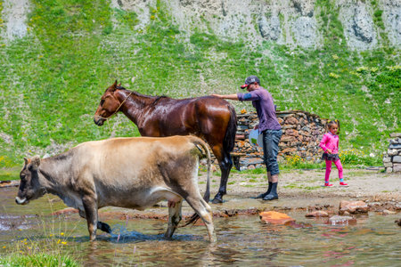 KETRISI, GEORGIA - JULY 17: Man washing a horse and a girl playing with water, Truso valley, Kazbegi. July 2017のeditorial素材