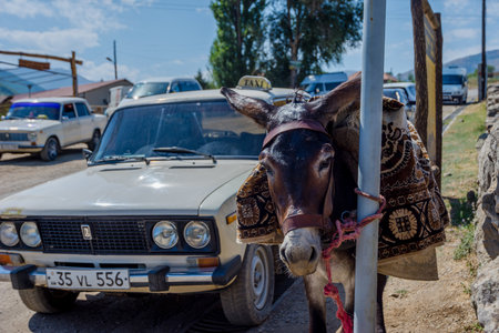 Tatev, Armenia - August 9 2017: Donkey waiting next to the old styled Lada taxi at Tatev monastery, Armeniaのeditorial素材