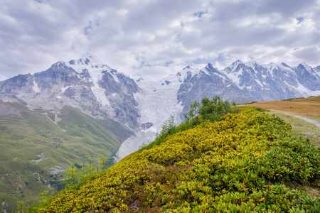 Scenic mountains in Svaneti region in early morning light, Georgiaの写真素材