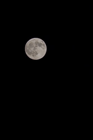 Full moon against black skyの写真素材