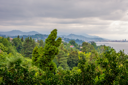 View over Batumi skyline from the distance botanical garden, Georgiaの写真素材