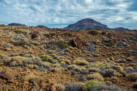 Scenic, unusual and unique volcanic landscape around Teide mountain national park, Tenerife, Canary islandsの写真素材