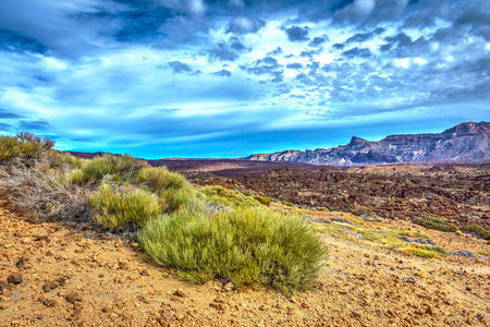 Scenic, unusual and unique volcanic landscape around Teide mountain national park, Tenerife, Canary islandsの写真素材