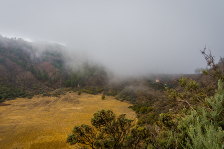 View over Bandama Caldera crater, Gran Canaria, Spainの写真素材