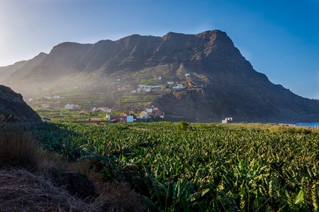 Santa Catalina bay with banana plantations, La Gomera, Canary islandsの写真素材