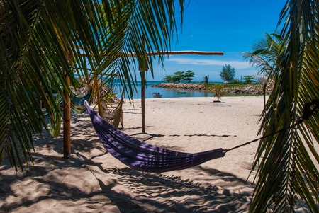 Hammocks at the beach in the shadow of palm trees, Thailandの写真素材