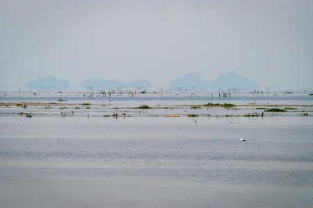 Scenic view over Songkhla lake, Thailandの写真素材