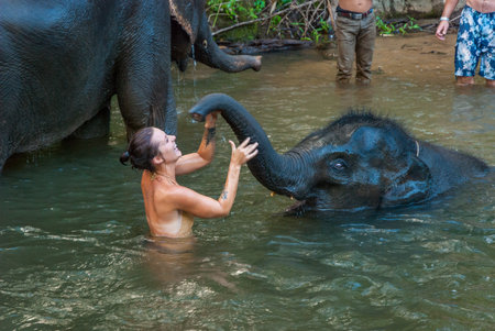 Chiang Mai, Thailand - Nov 2015: Group of young travelers washing and swimming with elephants in the river in elephant sanctuaryのeditorial素材
