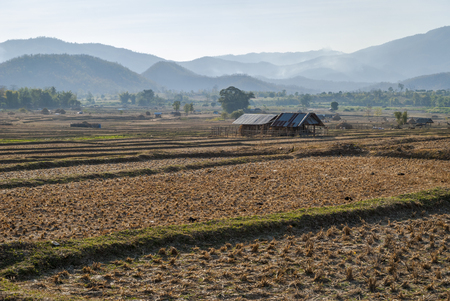 Scenic view of rice paddies during dry season, Pai scenery, Thailandの写真素材