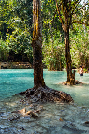 Luang Prabang, Laos - Feb 2016: People swimming in the water and visiting Kuang Si waterfalls, one of the biggest attractions in the areaのeditorial素材