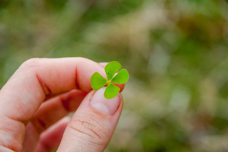 Holding four leaf shamrock in hand, lucky symbol