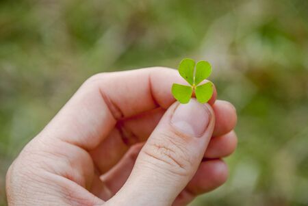Holding four leaf shamrock in hand, lucky symbolの写真素材