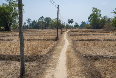 Dry rice paddies, Don Det island, Laosの写真素材