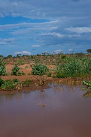 Water source for Hamer people, Omo valley, Ethiopiaの写真素材