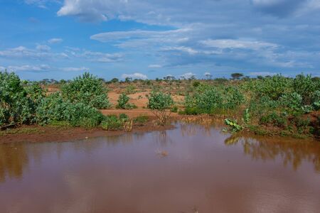 Water source for Hamer people, Omo valley, Ethiopiaの写真素材