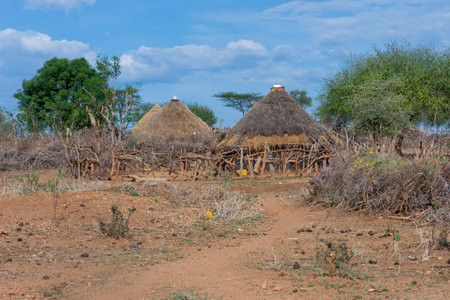 Hamer tribe village, Omo valley, Ethiopiaのeditorial素材