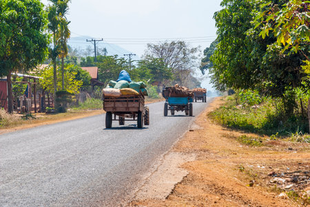 Paksong, Laos - Feb 2016: Transport by tractor Laosのeditorial素材