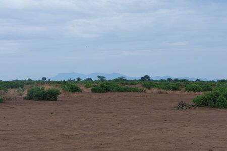 Steppe landscape in Omo valley, Ethiopiaの写真素材