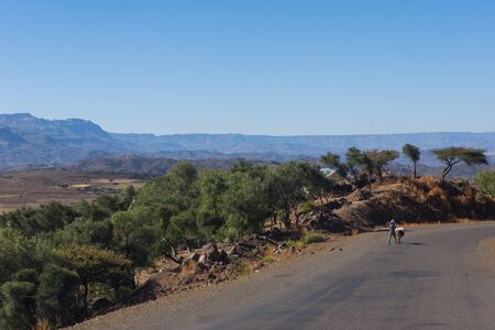 Man and donkey walking on the road in Ethiopian countrysideの写真素材