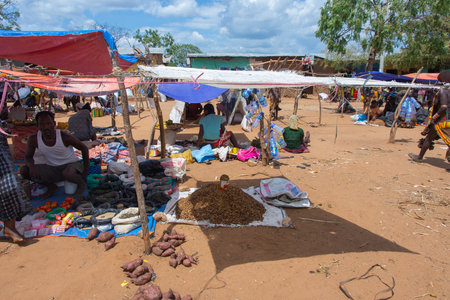 Turmi, Ethiopia - Nov 2018: Local market of Hamer tribe in Turmi selling various food. Omo valleyのeditorial素材