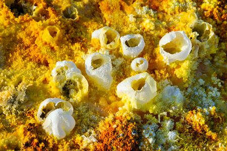 Colorful landscape of Dallol terrestrial hydrothermal system - hydrothermal chimneys, salt pillars and terraces in Danakil desert, Ethiopia の写真素材
