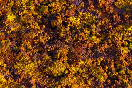 Colorful landscape of Dallol terrestrial hydrothermal system in Danakil desert, Ethiopiaの写真素材