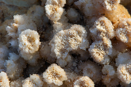 Close up of crystals of Dallol terrestrial hydrothermal system in Danakil desert, Ethiopia