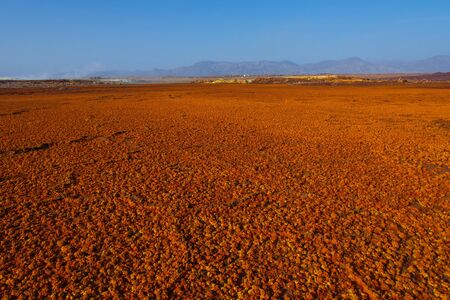 Surreal Dallol desert landscape ground, red color, Danakil, Ethiopiaの写真素材