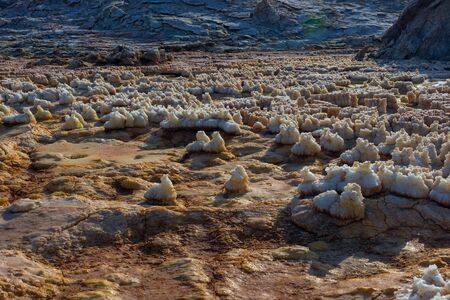 Surreal Dallol desert landscape ground close up, Danakil, Ethiopiaの写真素材