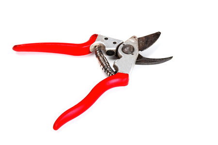 Red secateurs, isolated on white 