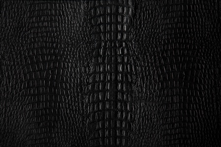 Crocodile skin texture background の写真素材