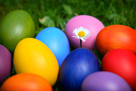 Colorful Easter eggs with daisy, hidden in the grass 