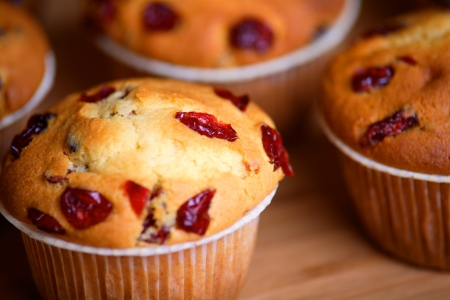 Fresh, still warm cranberry muffins の写真素材