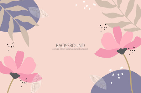 collection of pastel flower backgrounds for editable designs, posters,     brochures, presentations, web and other designs.のイラスト素材