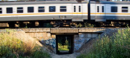train over the tunnel in motion