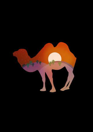 Double Exposure Camel with Nigh t Landscape Illustrationの写真素材