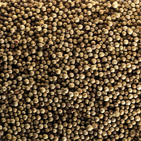 Pepper backgroundの写真素材