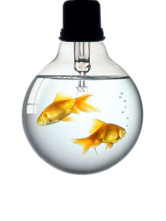 lamp aquariumの写真素材
