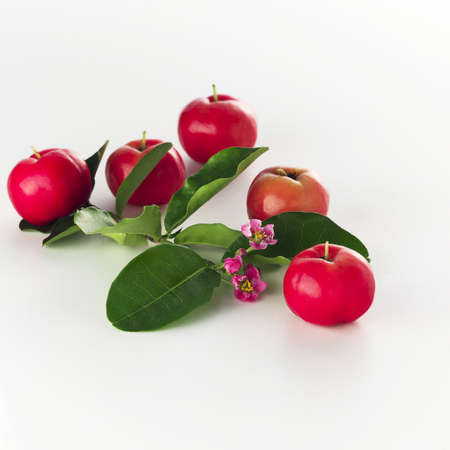 Brazilian cherry/acerolaの写真素材