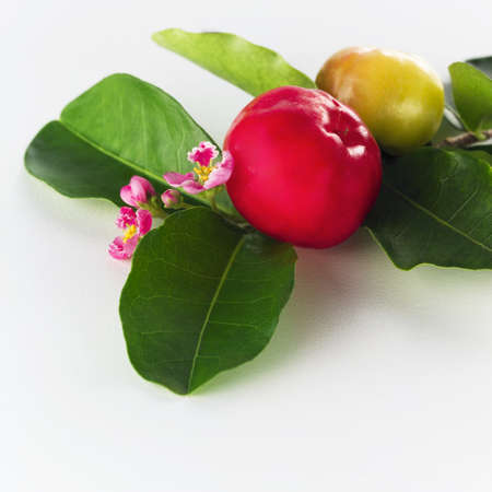 Brazilian cherry/acerolaの写真素材